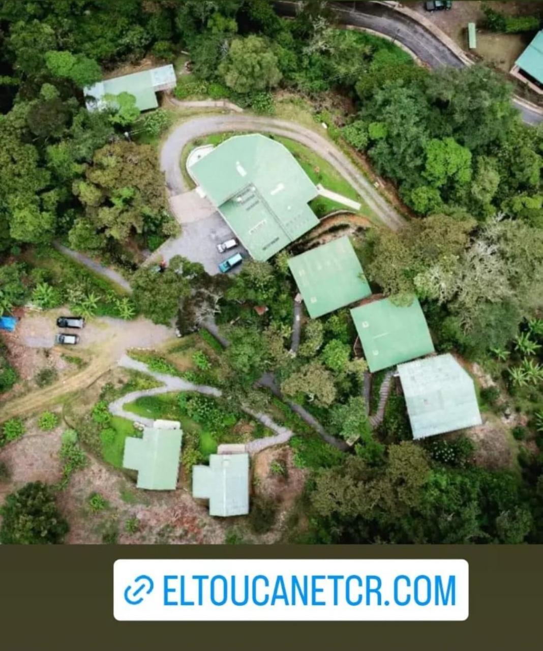 El Toucanet Lodge Copey Exteriör bild