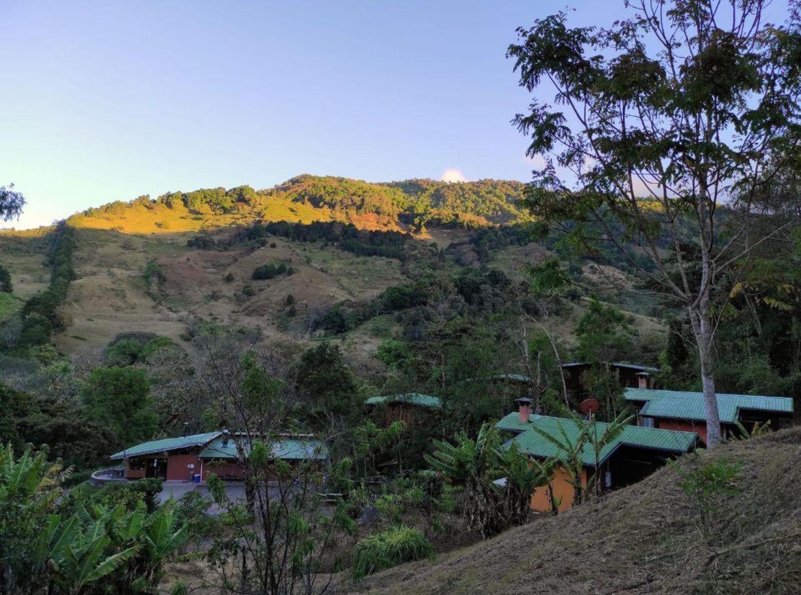 El Toucanet Lodge Copey Exteriör bild